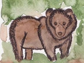 Schamanisches Krafttier Bär | Bedeutung und Eigenschaften