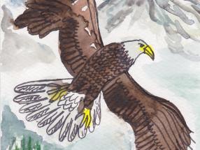 Schamanisches Krafttier Adler | Bedeutung und Eigenschaften